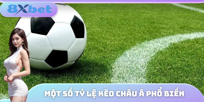 Những tỷ lệ kèo châu Á phổ biến nhất hiện nay