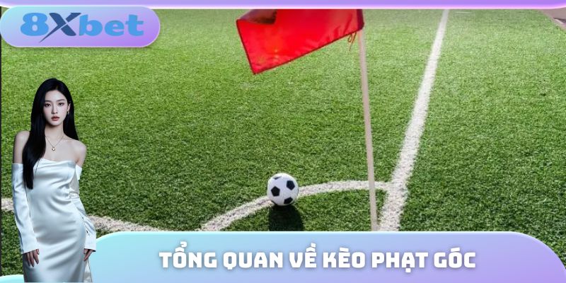 Tổng quan một số thông tin cơ bản về kèo phạt góc