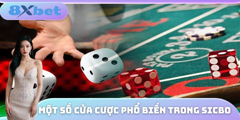 Một số cửa cược phổ biến xuất hiện trong tựa game Sicbo