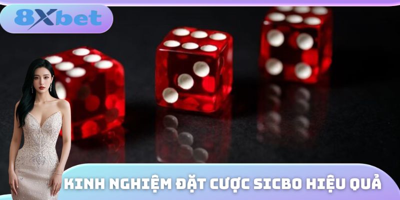 Chiến thuật chơi Sicbo hiệu quả nhất từ các cao thủ hàng đầu