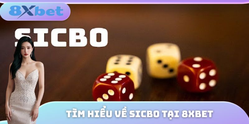 Tổng quan một vài thông tin cần biết về trò chơi Sicbo