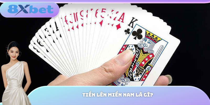 Tiến lên miền Nam là gì?